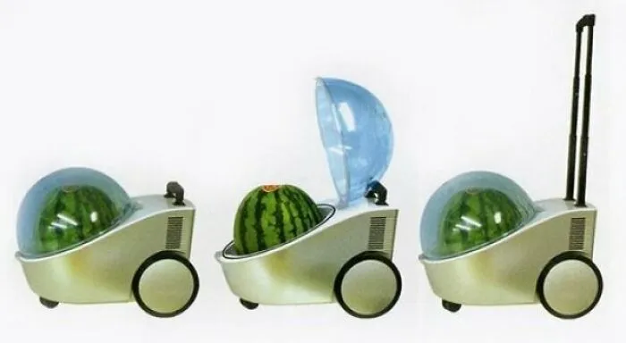 What Could Be Cooler Than A Watermelon Coo... Oh Never Mind