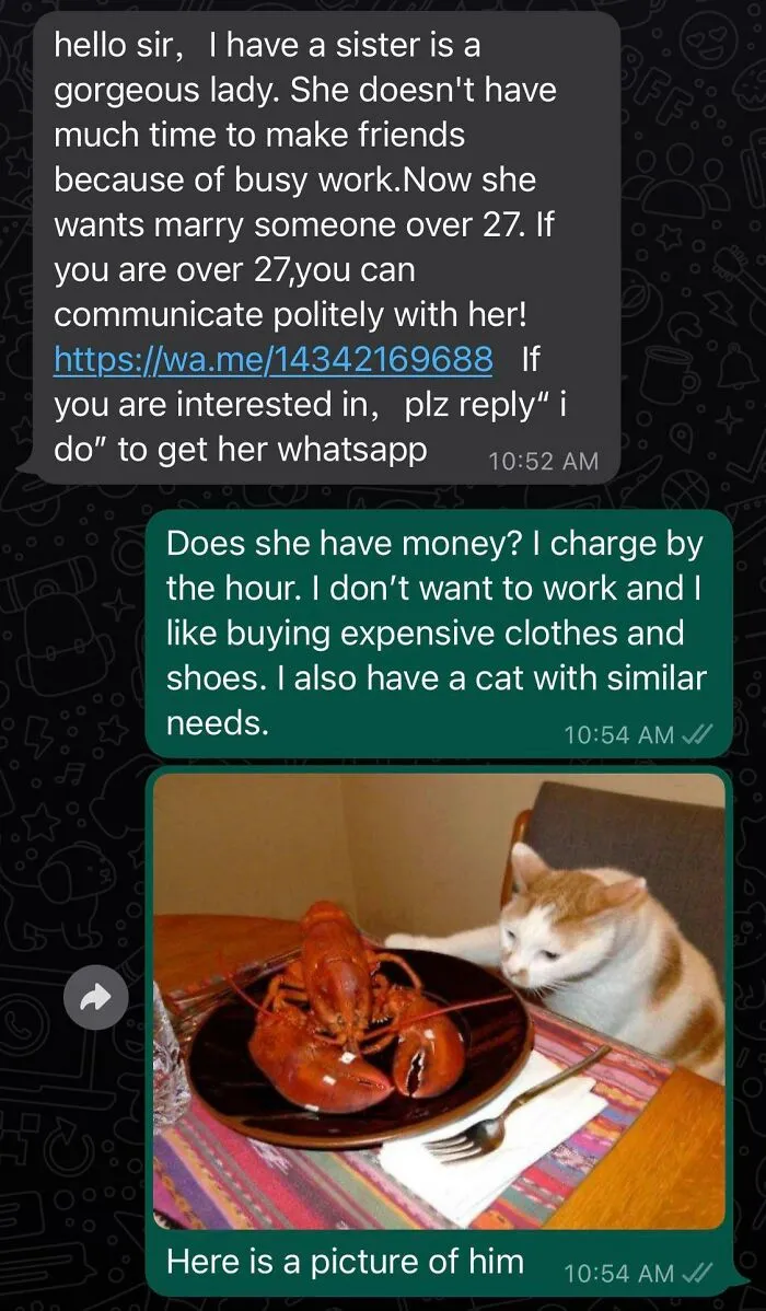 Bait Not Taken