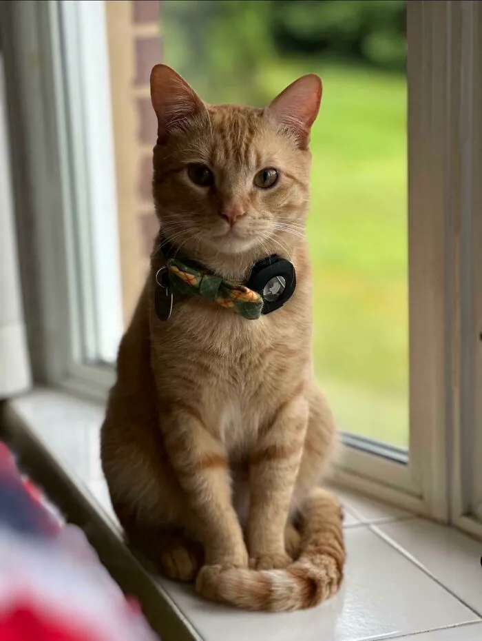 My New Little Guy Is Very Photogenic