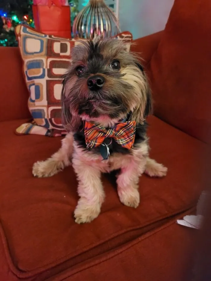 My Little Man Being Pretty