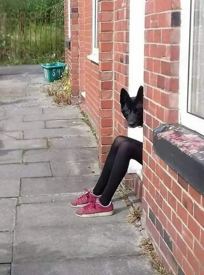 “Unusual Images”: 30 Of The Most Comically Bizarre Pics Shared By This Facebook Page