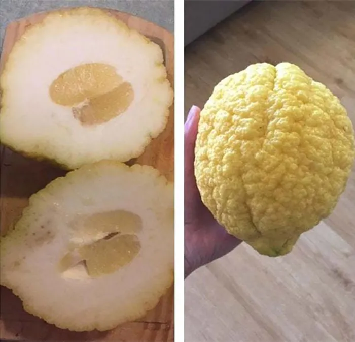 45 Upsetting Images Of ‘Mildly Infuriating’ Things (New Pics)