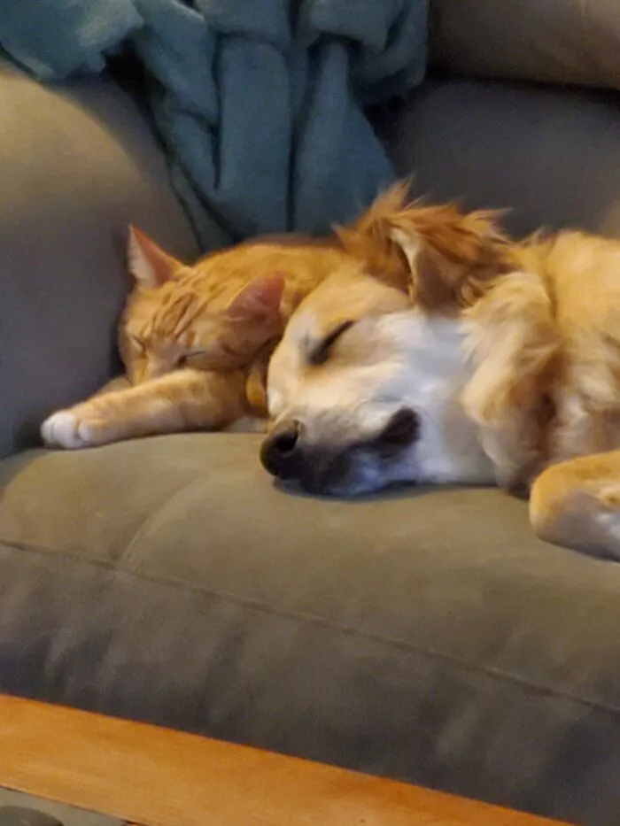 Pippin And Logan..... Bffs