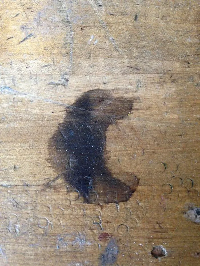 Esta mancha en mi mesa parece un perro que disfruta oliendo algo