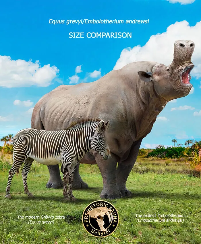 The Modern Grevy's Zebra And The Extinct Embolotherium