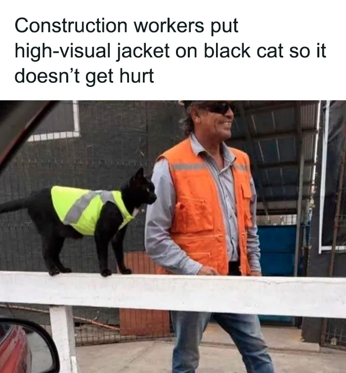 50 Wholesome Memes As Shared By This Twitter Page To Brighten Up Your Day (New Pics)