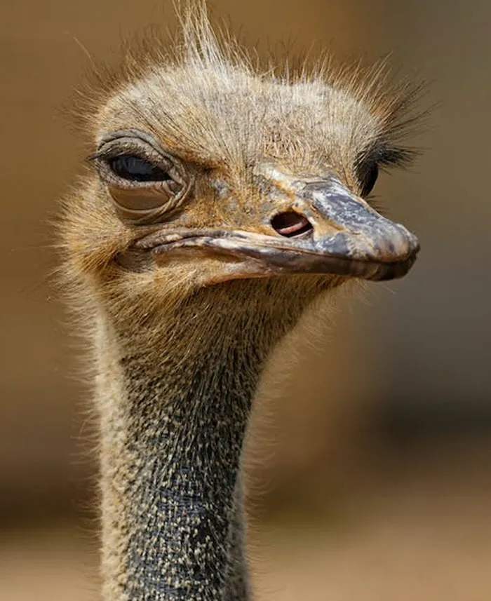 45 Annoying ‘Facts’ And Urban Legends People Have To Finally Stop Believing