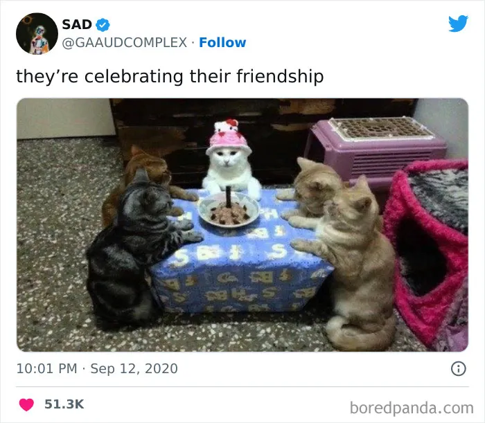 Cats gathered around a cake in a playful friendship meme.