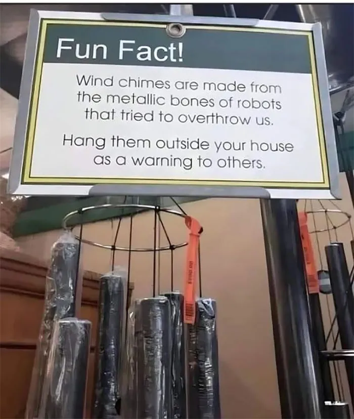 50 Of The Best Rare And Unusual And Funny Signs