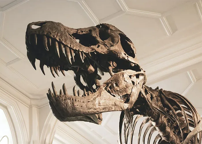 40 Bits Of History That People Are Shocked To Learn Happened Simultaneously