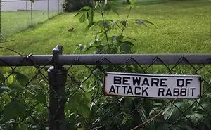 50 Of The Best Rare And Unusual And Funny Signs