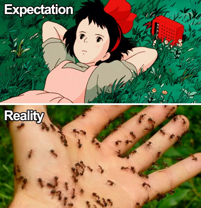 30 Funny Memes To Send To Your Studio Ghibli-Obsessed Friends