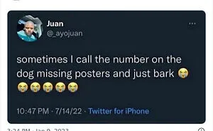'Insane People Online': 29 Of The Most Outrageous Posts Spotted On The Web