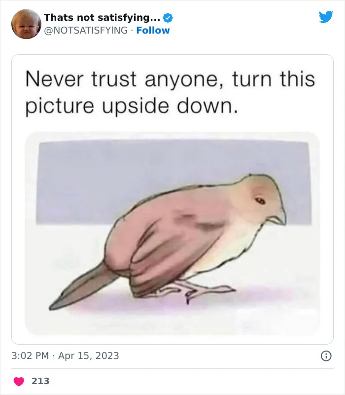 Not-Satisfying-Page-Twitter