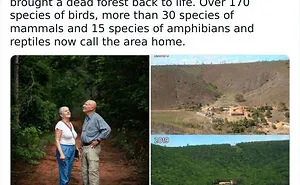 50 Bits Of Information That May Leave You Saying, ‘WTF Facts’ (New Pics)