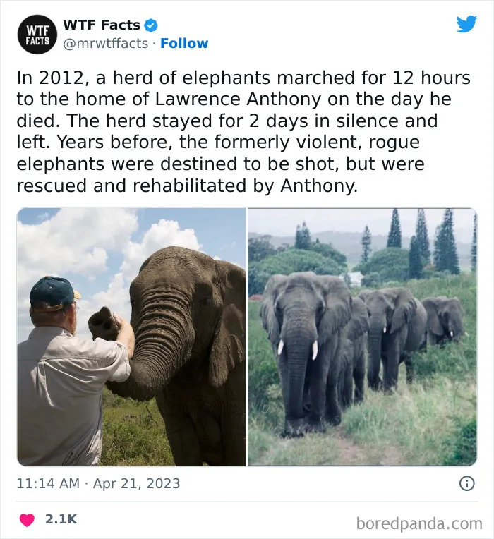 50 Bits Of Information That May Leave You Saying, ‘WTF Facts’ (New Pics)