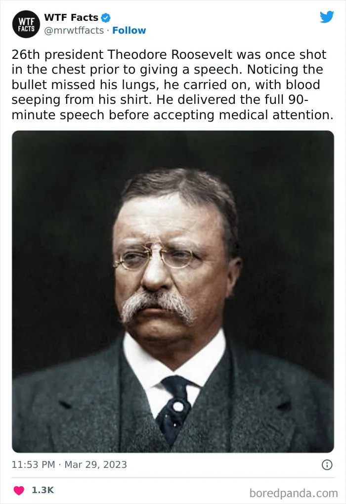 50 Bits Of Information That May Leave You Saying, ‘WTF Facts’ (New Pics)
