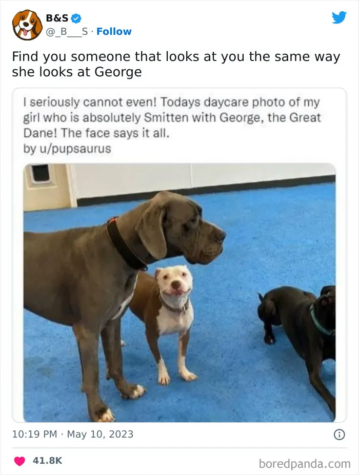 'The Worst Of Tumblr': 50 Of The Funniest Posts People Found On This Unique Platform