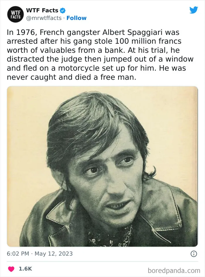 50 Bits Of Information That May Leave You Saying, ‘WTF Facts’ (New Pics)