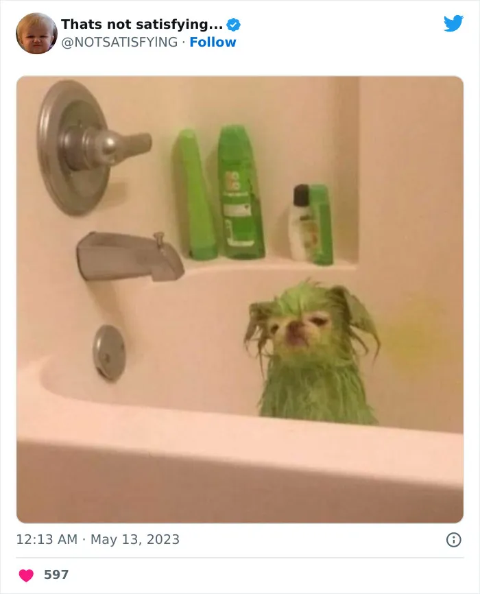 This Twitter Page Gets Odder And Odder With Each Post, So Here Are 30 Of The Weirdest Ones