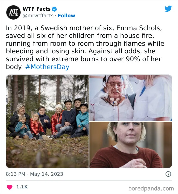 50 Bits Of Information That May Leave You Saying, ‘WTF Facts’ (New Pics)