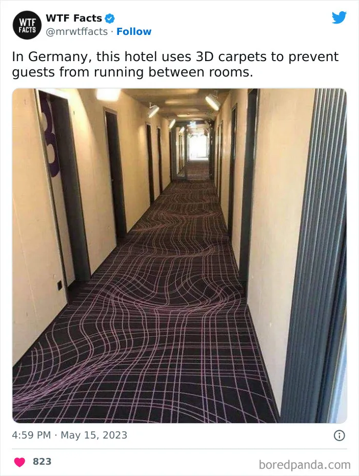 50 Bits Of Information That May Leave You Saying, ‘WTF Facts’ (New Pics)