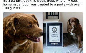 50 Bits Of Information That May Leave You Saying, ‘WTF Facts’ (New Pics)