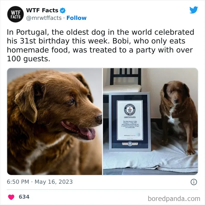 50 Bits Of Information That May Leave You Saying, ‘WTF Facts’ (New Pics)