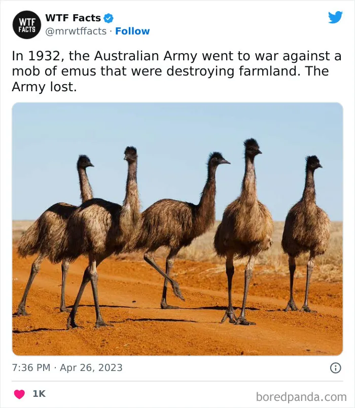 50 Bits Of Information That May Leave You Saying, ‘WTF Facts’ (New Pics)