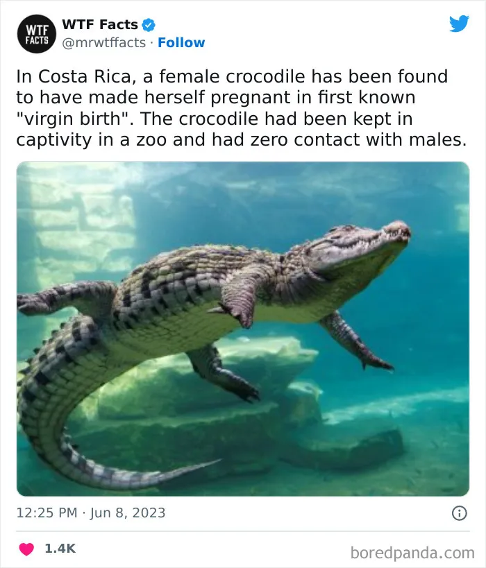 50 Bits Of Information That May Leave You Saying, ‘WTF Facts’ (New Pics)