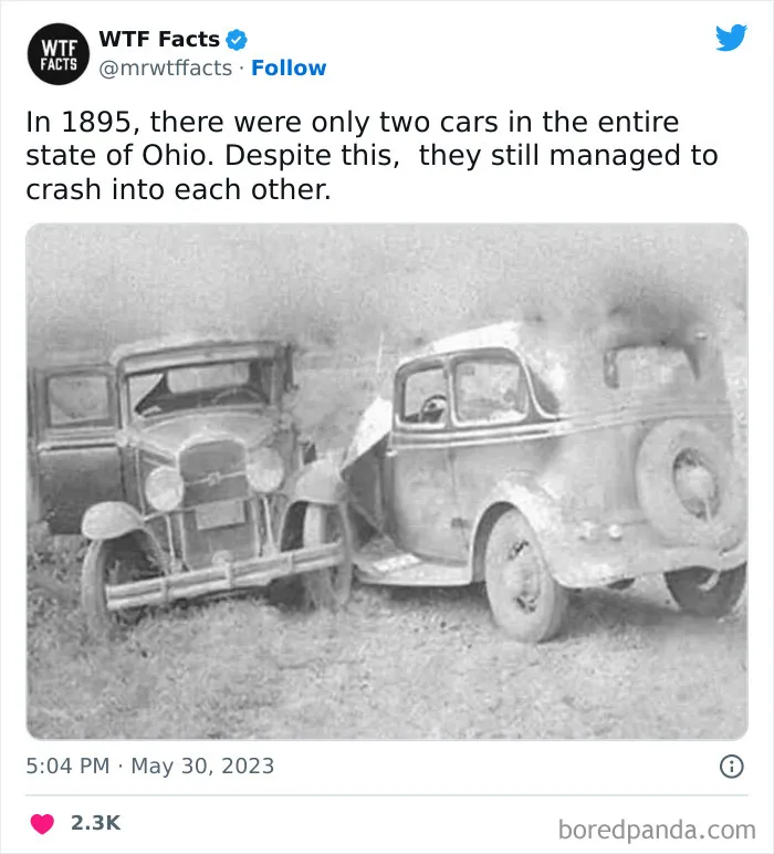 50 Bits Of Information That May Leave You Saying, ‘WTF Facts’ (New Pics)