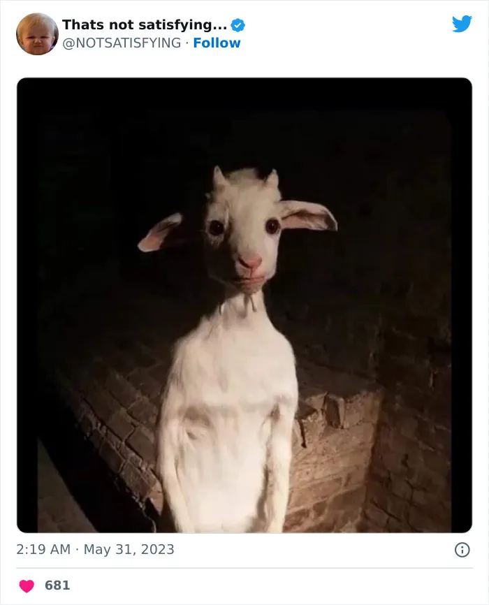 This Twitter Page Gets Odder And Odder With Each Post, So Here Are 30 Of The Weirdest Ones