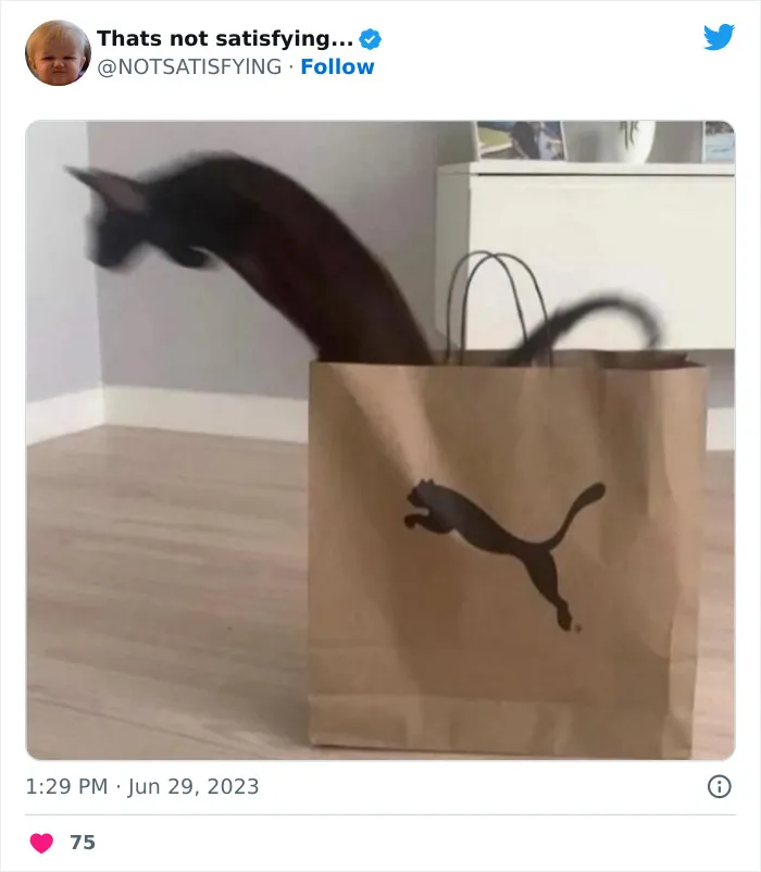 This Twitter Page Gets Odder And Odder With Each Post, So Here Are 30 Of The Weirdest Ones