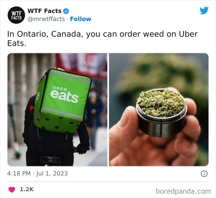 50 Bits Of Information That May Leave You Saying, ‘WTF Facts’ (New Pics)