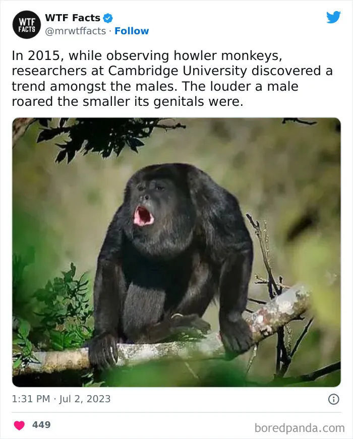 50 Bits Of Information That May Leave You Saying, ‘WTF Facts’ (New Pics)