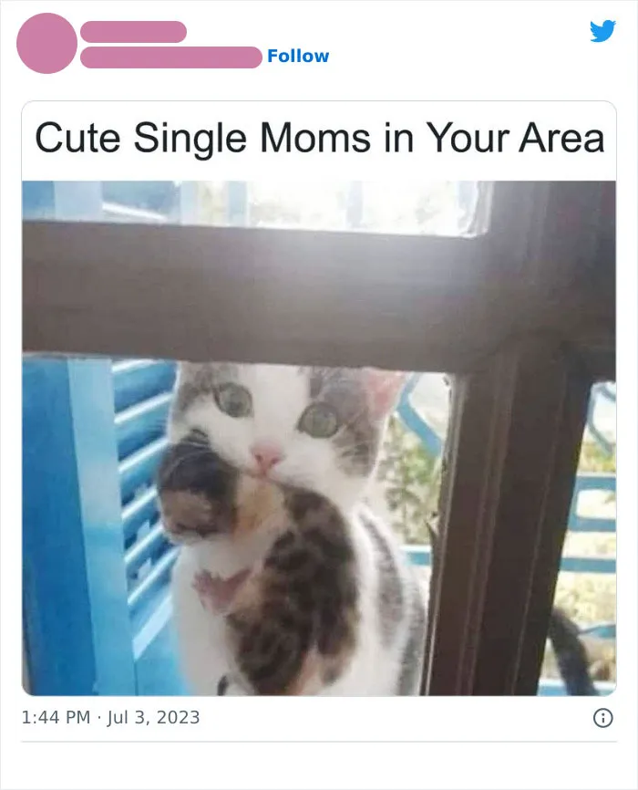 Meow