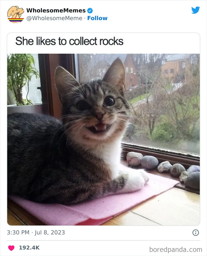 50 Wholesome Memes As Shared By This Twitter Page To Brighten Up Your Day (New Pics)