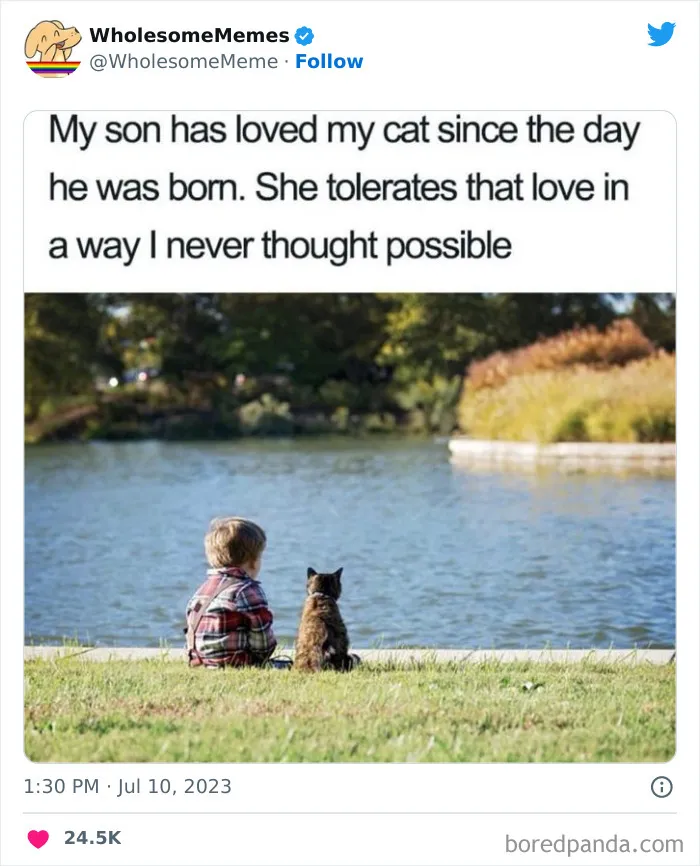 50 Wholesome Memes As Shared By This Twitter Page To Brighten Up Your Day (New Pics)