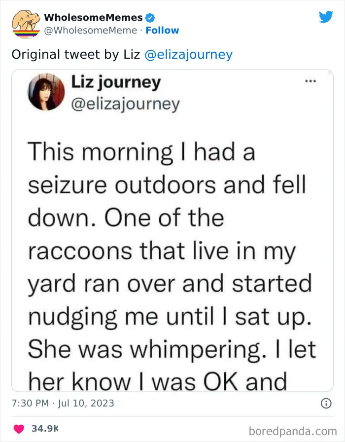 Adorable-Wholesome-Memes-Pics