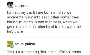 50 Wholesome Memes As Shared By This Twitter Page To Brighten Up Your Day (New Pics)