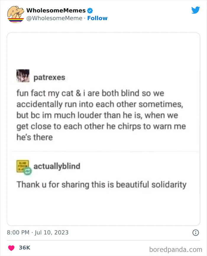 50 Wholesome Memes As Shared By This Twitter Page To Brighten Up Your Day (New Pics)