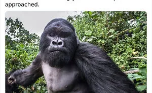 50 Bits Of Information That May Leave You Saying, ‘WTF Facts’ (New Pics)