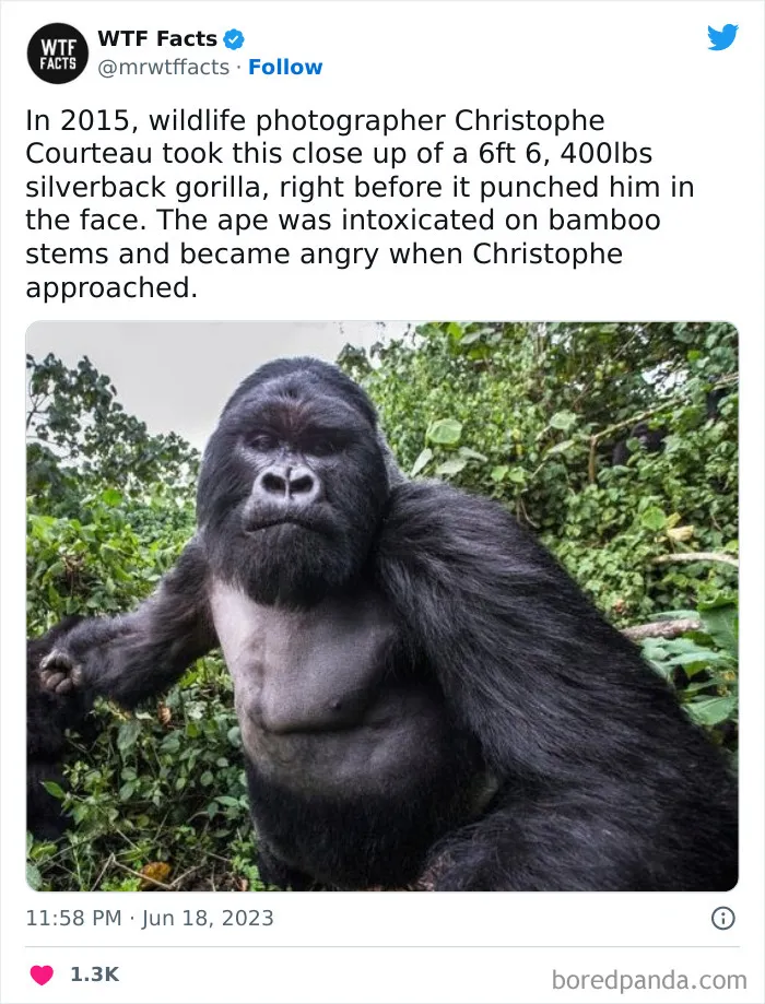 Fascinating-Random-Facts