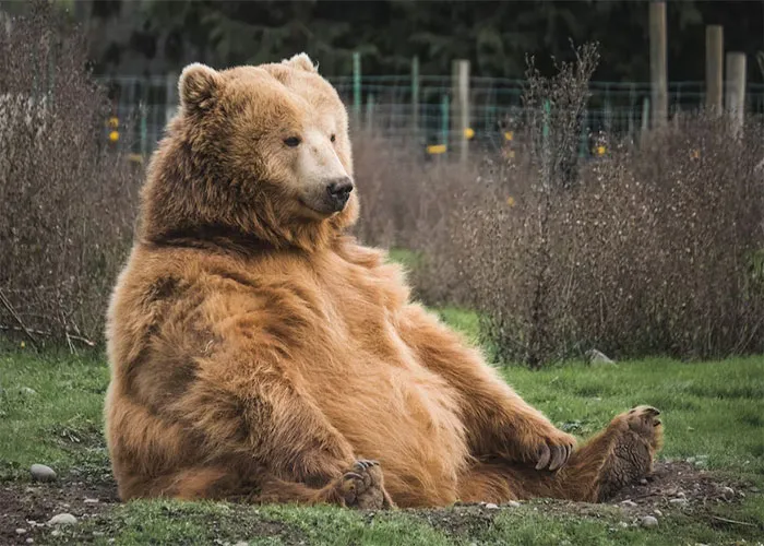 30 People Share "Really Dumb" Hobbies That Only Rich People Seem To Like