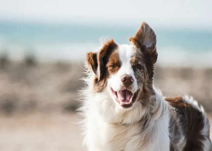 30 People Share "Really Dumb" Hobbies That Only Rich People Seem To Like