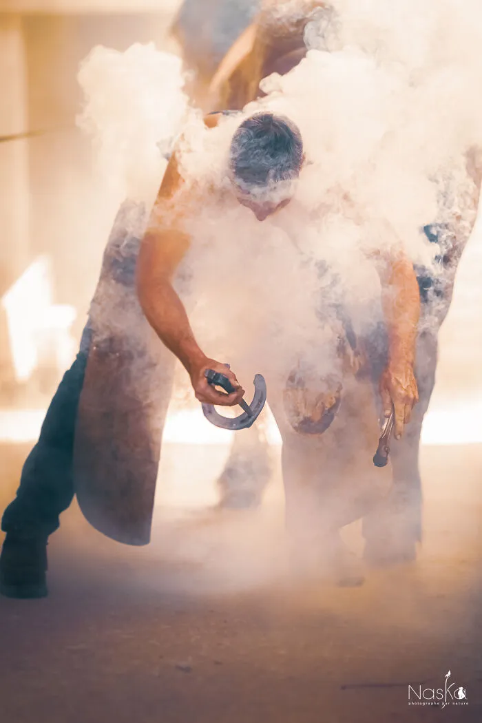 Light On The Job Of A Farrier (13 Pics)
