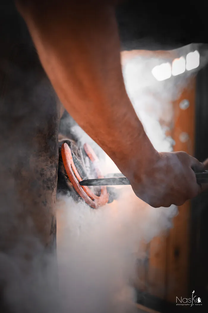 Light On The Job Of A Farrier (13 Pics)