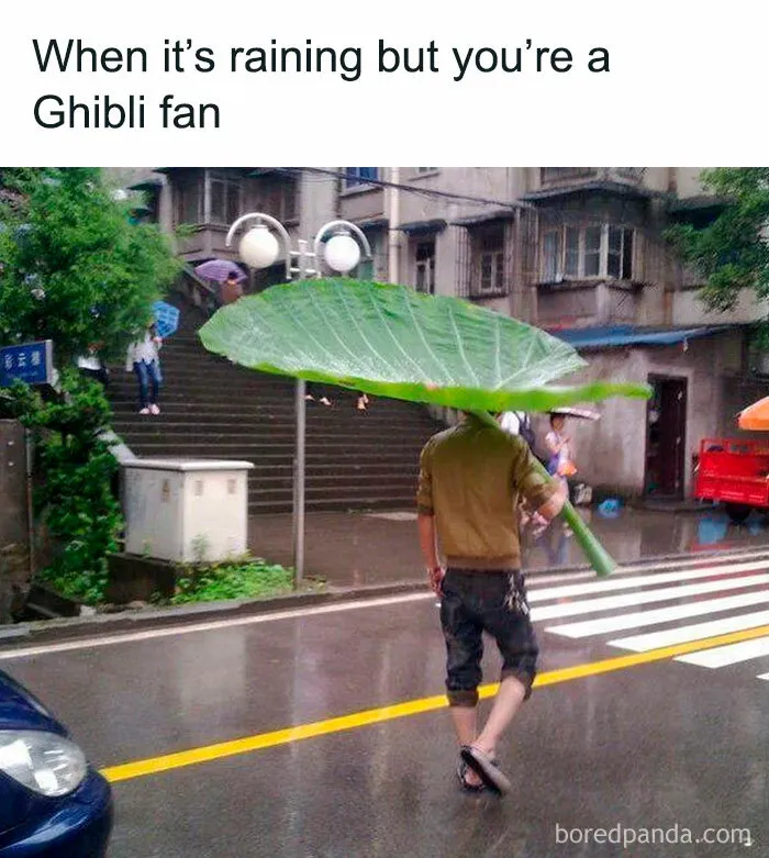 30 Funny Memes To Send To Your Studio Ghibli-Obsessed Friends