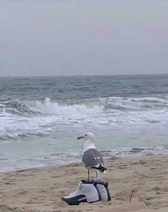 “Unusual Images”: 30 Of The Most Comically Bizarre Pics Shared By This Facebook Page