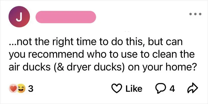 Air Ducks